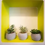 Modern Apartmán *