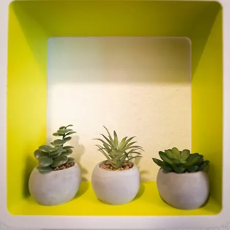 Modern Appartement *